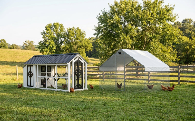 Chicken Coops